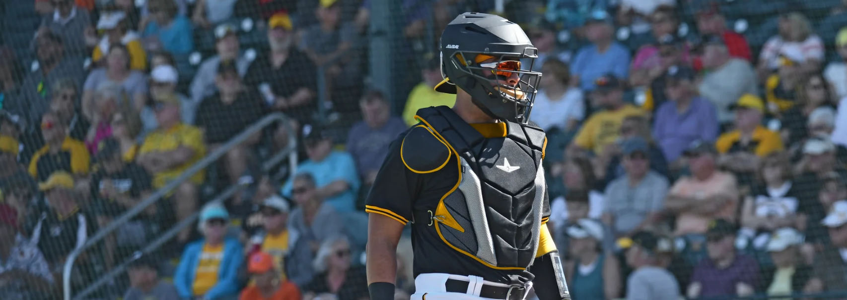 Baseball Pro Shop -Baseball Pro Shop ghjhj